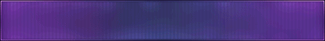 Vibrant Minecraft Server Banner