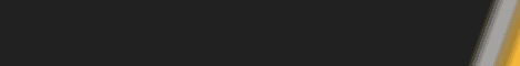 Rapid Action - Minecraft Server Banner