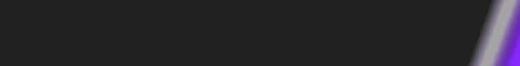 Rapid Action - Minecraft Server-Banner — violette Farbvariante
