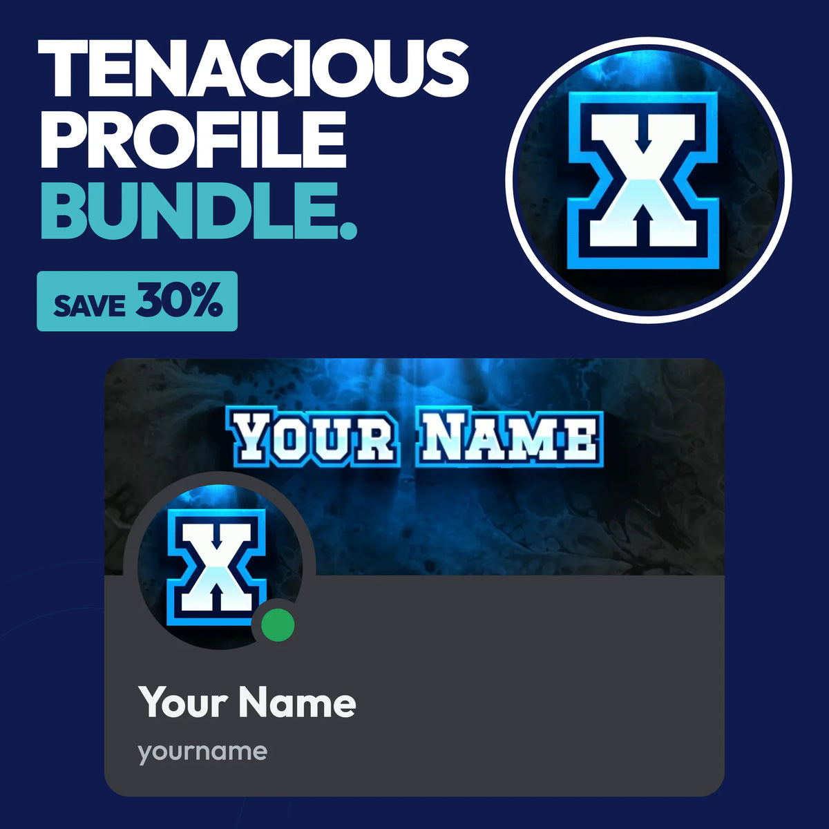 Tenacious Discord Profile Bundle in Blue with a matching PFP & server icon and profile banner